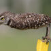 Call for Entries: 17 Iconic Outtakes to Inspire Your 2026 Comedy Wildlife Submissions