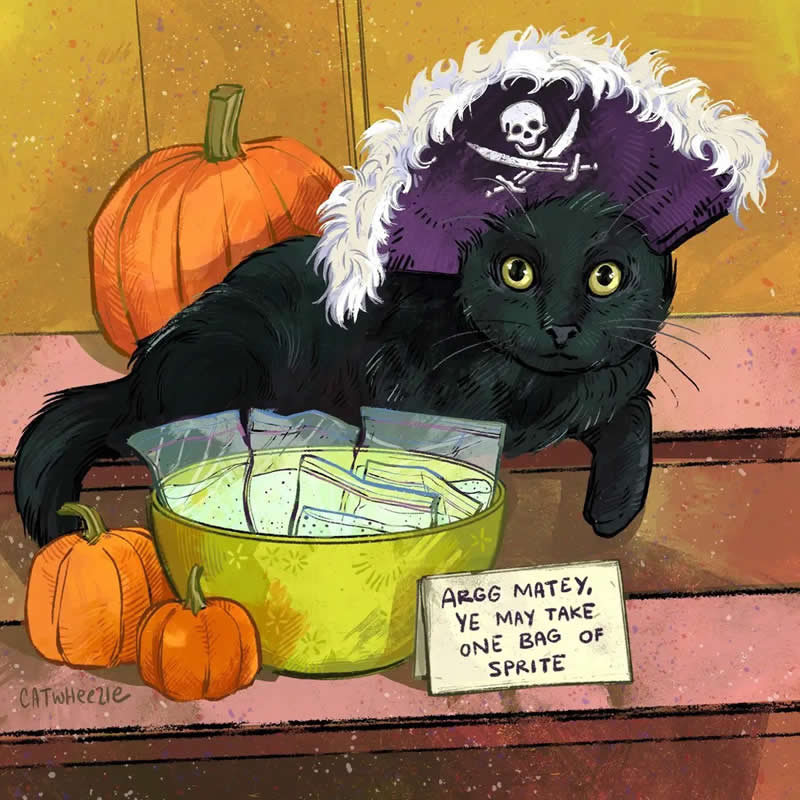 Funny illustration of a black cat wearing a pirate hat while guarding a bowl of Halloween candy next to pumpkins.