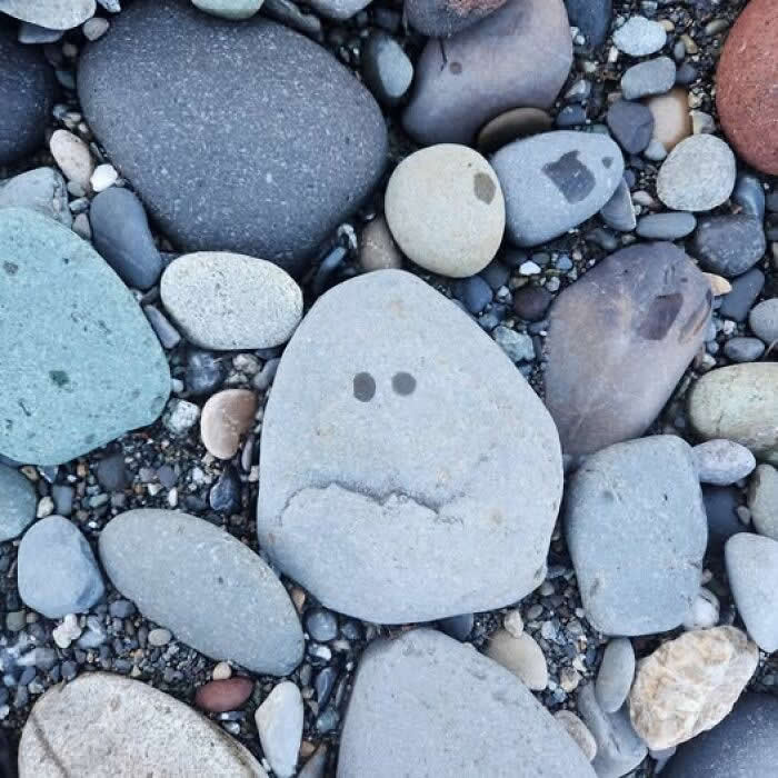 30 Public Objects Having a Total Meltdown 37 A collection of smooth beach pebbles with one large stone featuring two dark spots and a curved crack that resemble a sad face, creating a funny natural pareidolia expression among the surrounding rocks.