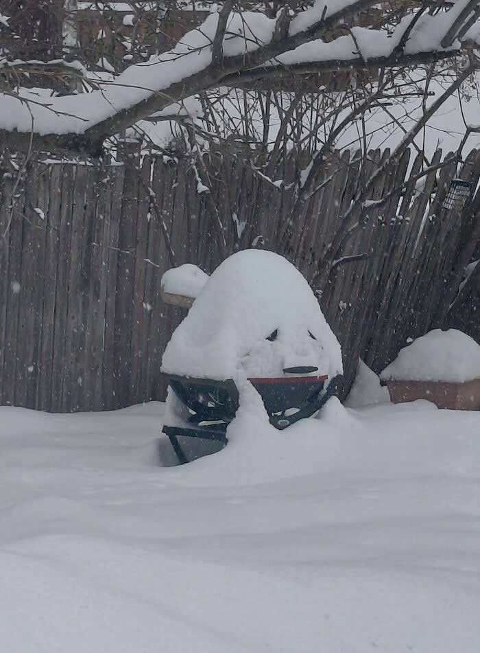 30 Public Objects Having a Total Meltdown 61 A backyard barbecue grill covered in snow forming a droopy face-like expression with snow shaping the head and lid opening resembling a sad mouth, creating a funny pareidolia scene during snowfall near a wooden fence.