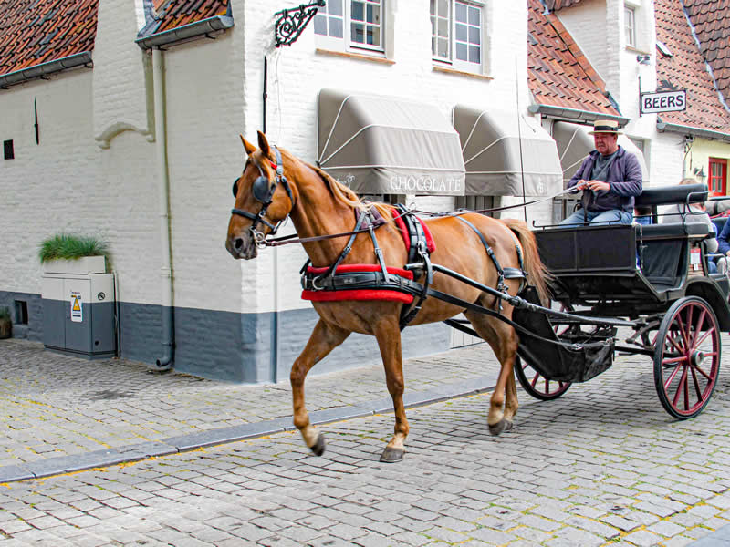 Gurushots Street Photography Winners Photo Challenge