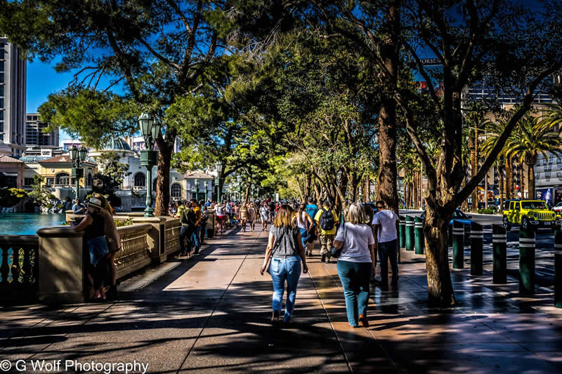 Gurushots Street Photography Winners Photo Challenge