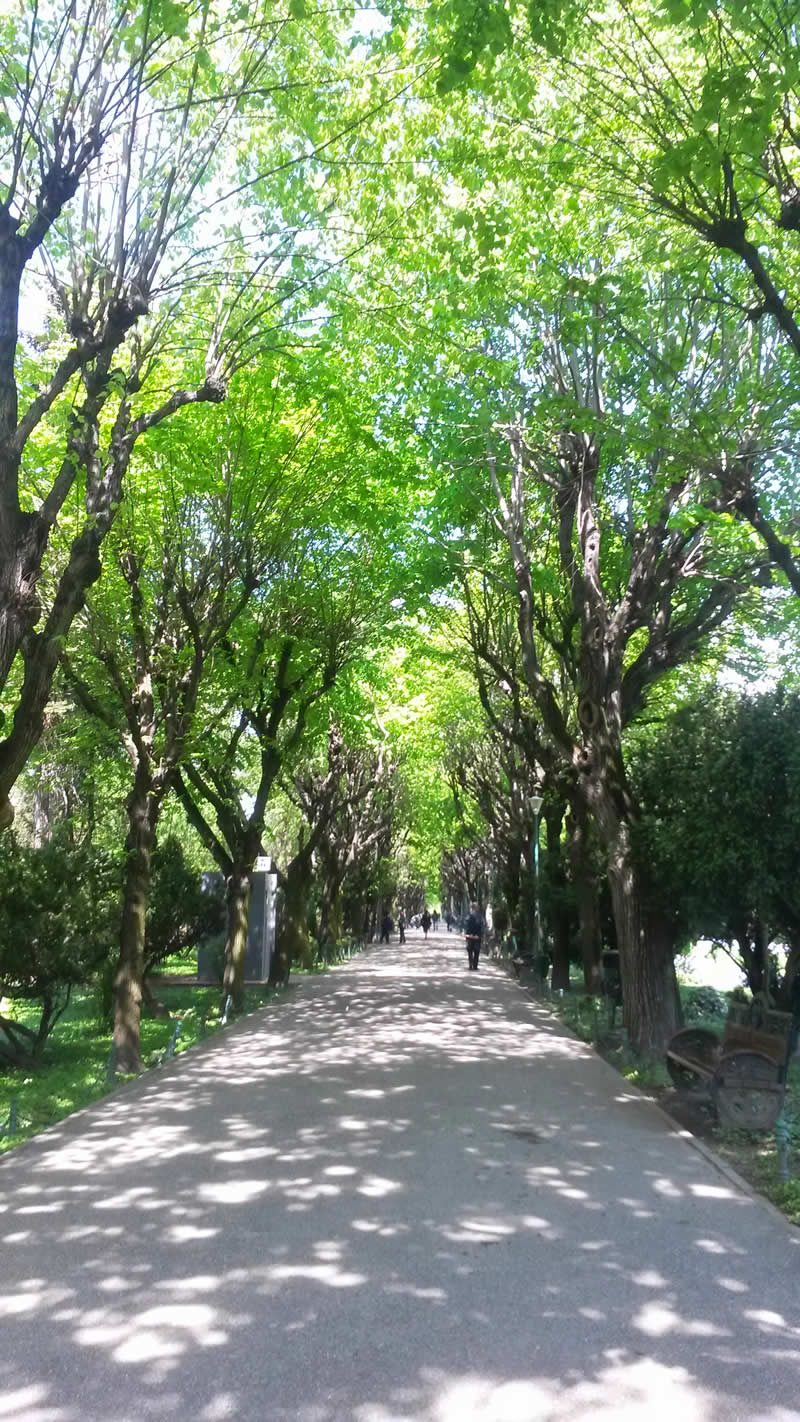 Gurushots Street Photography Winners Photo Challenge