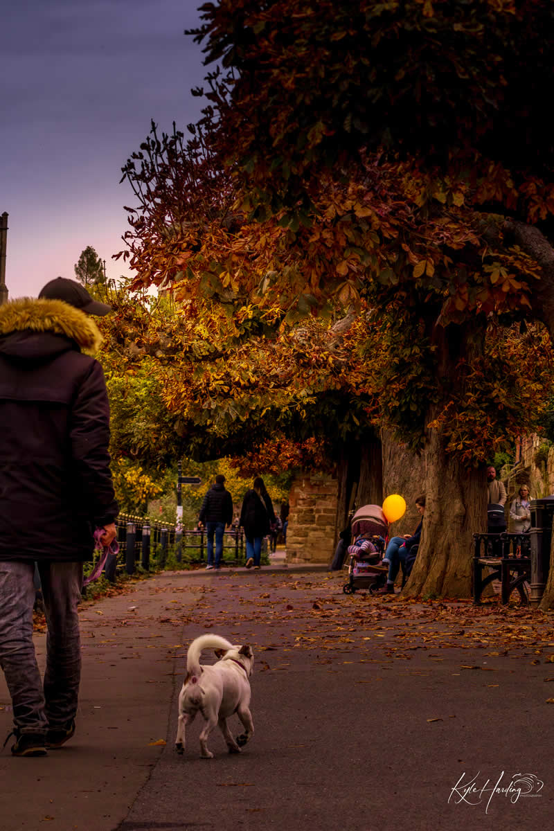 Gurushots Street Photography Winners Photo Challenge