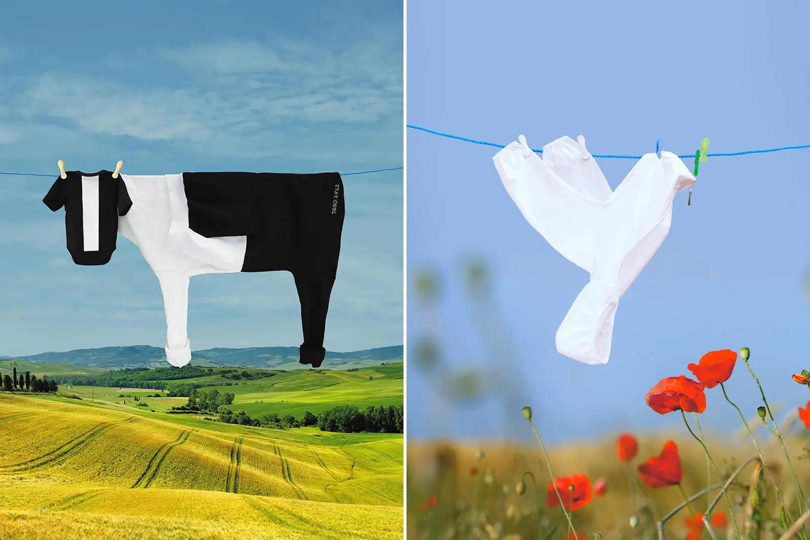 The Art of the Everyday: Analyzing Helga Stentzel’s Genius for Household Illusion