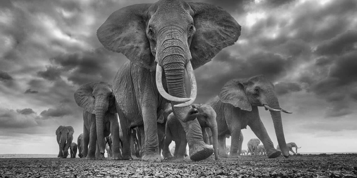 Powerful Photos From This Year’s HIPA Awards