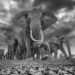 Capturing the Global Spirit: Powerful Photos From This Year’s HIPA Awards 51 Powerful Photos From This Year’s HIPA Awards