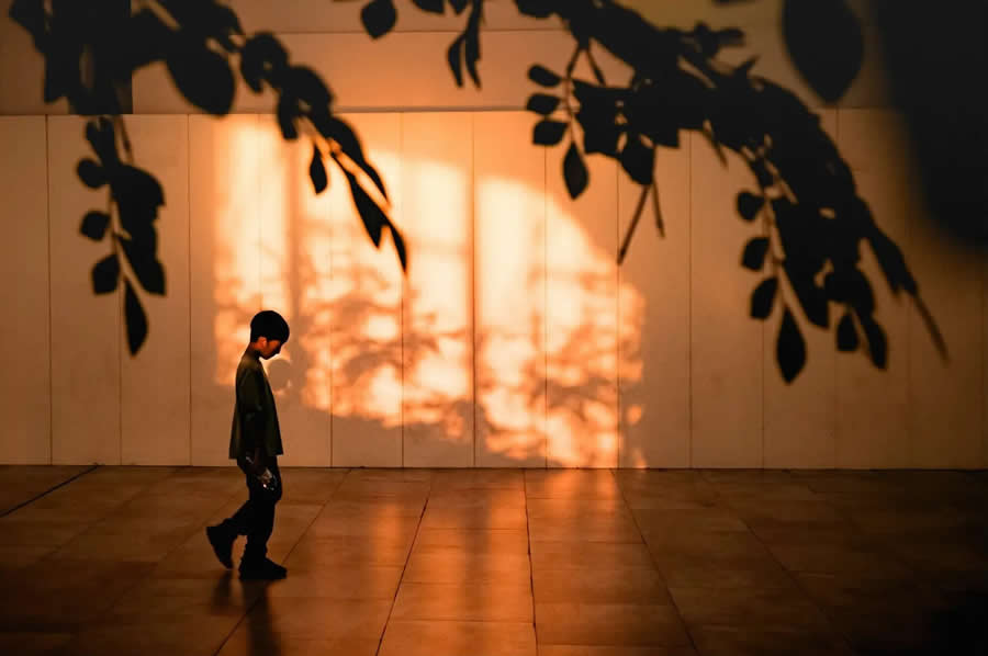 Silhouette of a person walking against a softly lit wall with warm orange light and tree shadows, framed by dark leaves in the foreground, creating a calm and cinematic street photography scene.