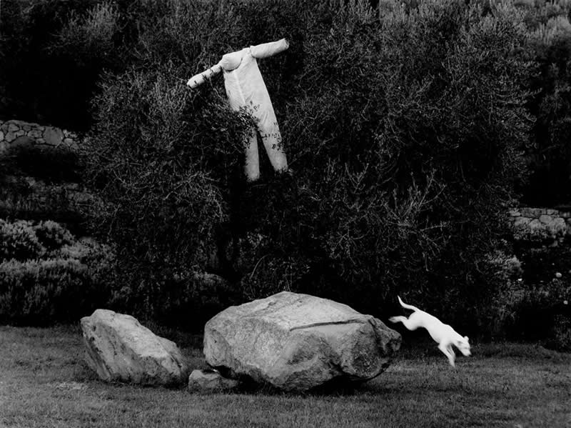 Italian Master Photographer Mario Lasalandra