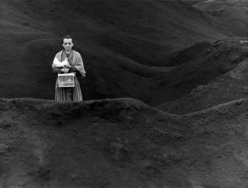 Italian Master Photographer Mario Lasalandra