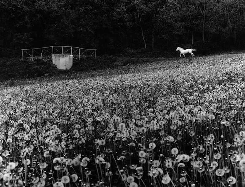 Italian Master Photographer Mario Lasalandra