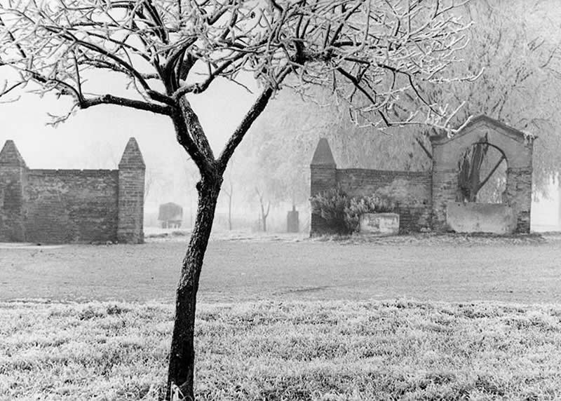 Italian Master Photographer Mario Lasalandra