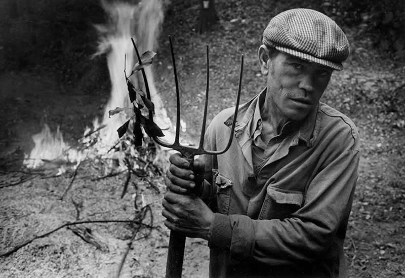 Italian Master Photographer Mario Lasalandra