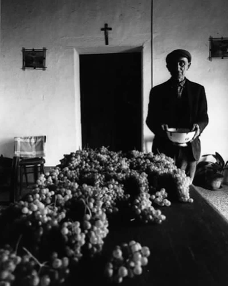 Italian Master Photographer Mario Lasalandra