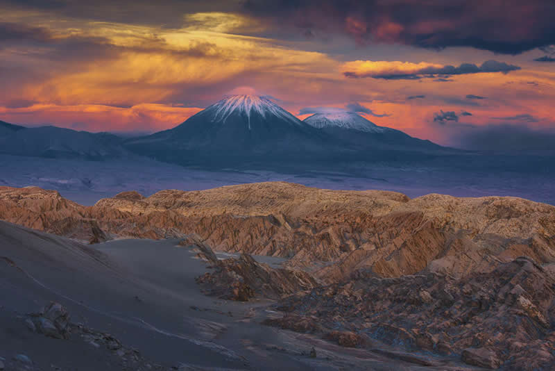 2026 Memorial Maria Luisa Awards Landscape Winners