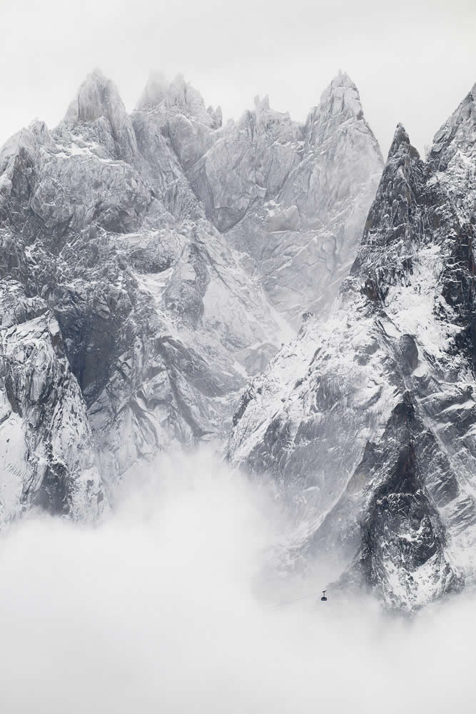 2026 Memorial Maria Luisa Awards Landscape Winners