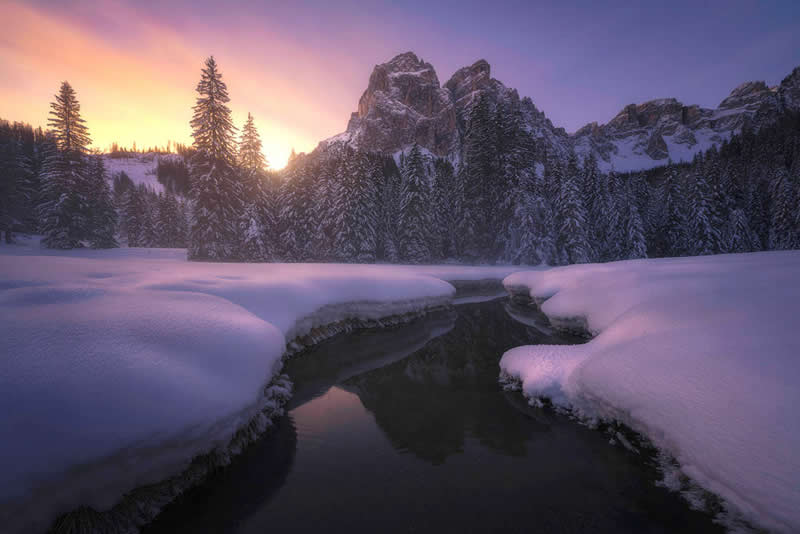 2026 Memorial Maria Luisa Awards Landscape Winners