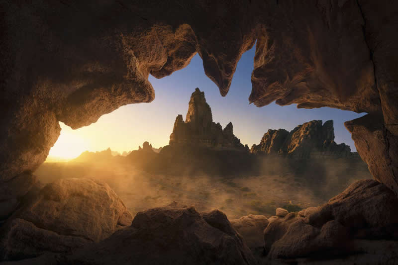 2026 Memorial Maria Luisa Awards Landscape Winners