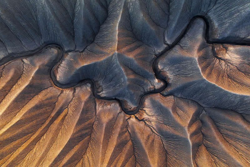 2026 Memorial Maria Luisa Awards Landscape Winners