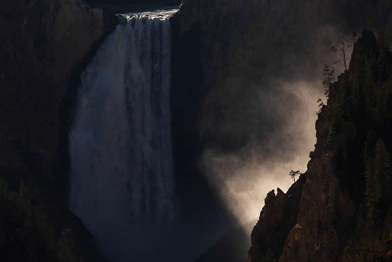 2026 Memorial Maria Luisa Awards Landscape Winners