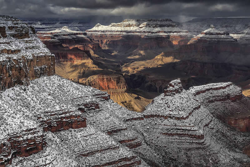 2026 Memorial Maria Luisa Awards Landscape Winners