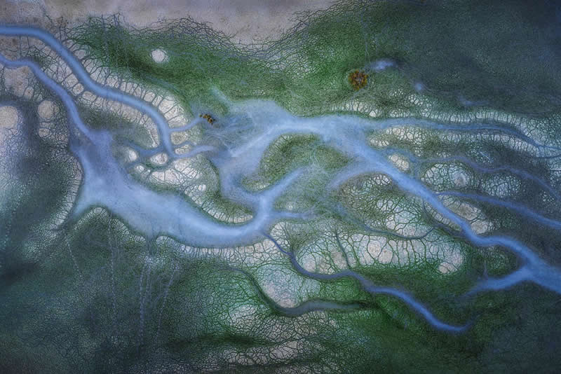 2026 Memorial Maria Luisa Awards Landscape Winners