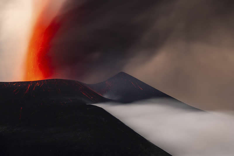 2026 Memorial Maria Luisa Awards Landscape Winners