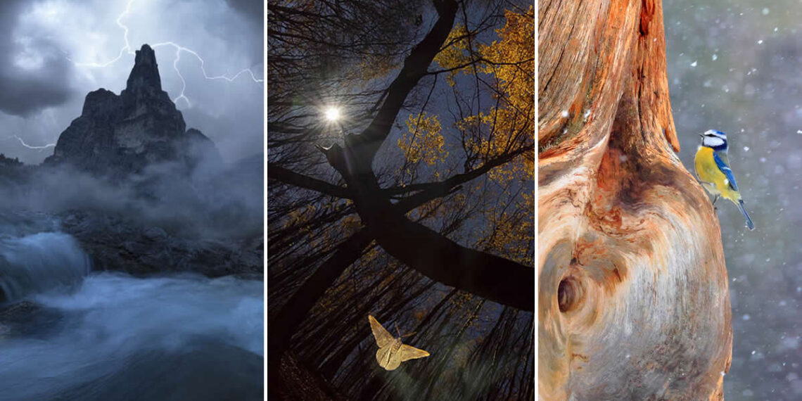 2026 Memorial Maria Luisa Awards: Best Mountain and Nature Photos Revealed