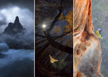2026 Memorial Maria Luisa Awards: Best Mountain and Nature Photos Revealed