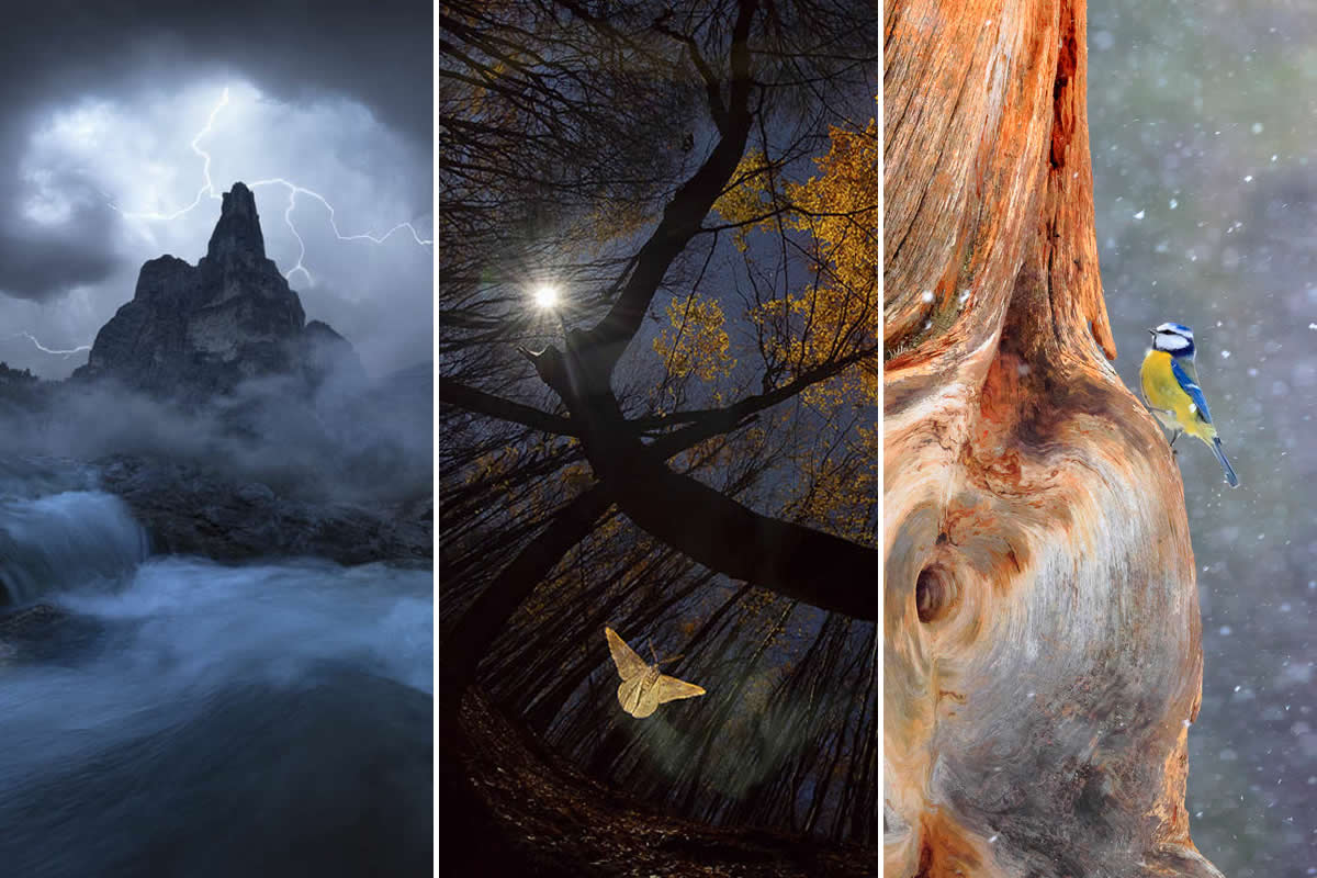 2026 Memorial Maria Luisa Awards: Best Mountain & Nature Photos Revealed