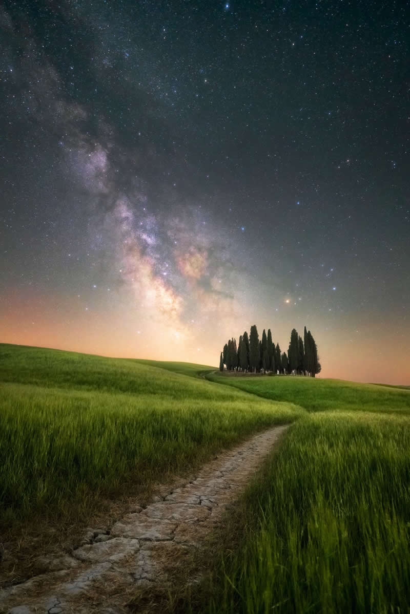 Beyond the Stars: How Mads Peter Iversen Captures the Milky Way Like No One Else 30 Milky Way galaxy rising above green rolling fields with a winding path leading toward a group of tall trees under a star-filled night sky.