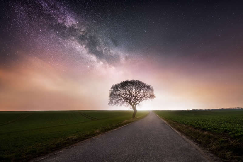 Beyond the Stars: How Mads Peter Iversen Captures the Milky Way Like No One Else 32 A single tree stands quietly by a country road, illuminated by the Milky Way as dusk colors fade and stars fill the calm night sky.