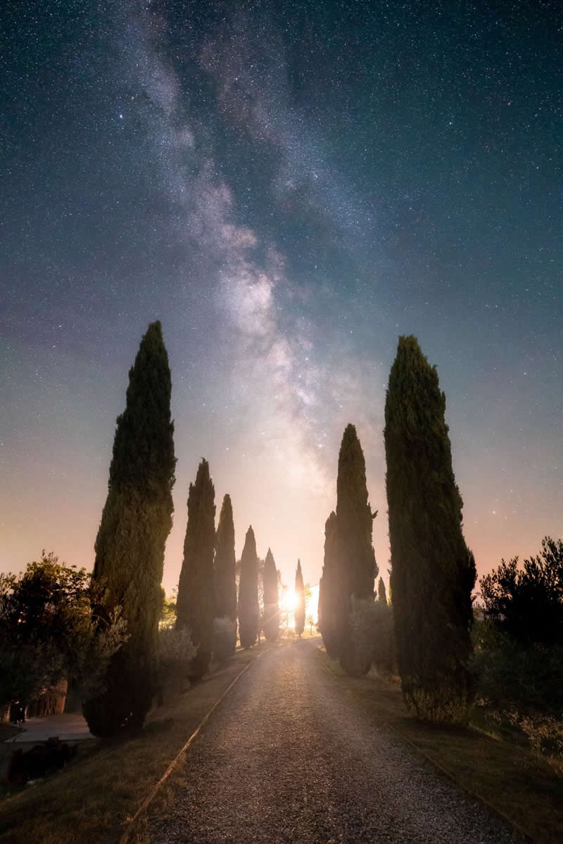 Beyond the Stars: How Mads Peter Iversen Captures the Milky Way Like No One Else 36 A tree-lined road leading toward a glowing horizon beneath the Milky Way galaxy with stars filling the night sky above tall cypress trees.
