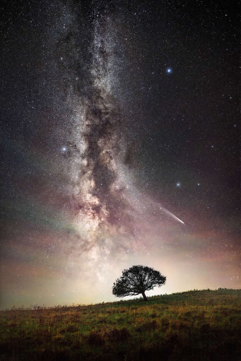 Beyond the Stars: How Mads Peter Iversen Captures the Milky Way Like No One Else 48 Lone tree on a grassy hill beneath the Milky Way galaxy with a shooting star streaking across the colorful night sky.