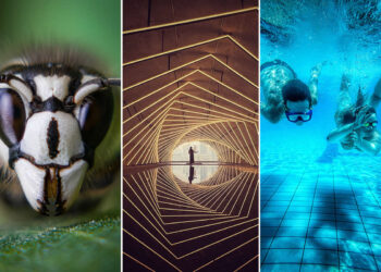The Best Mobile Photos of the Year: 15th Annual MPA Winners Revealed