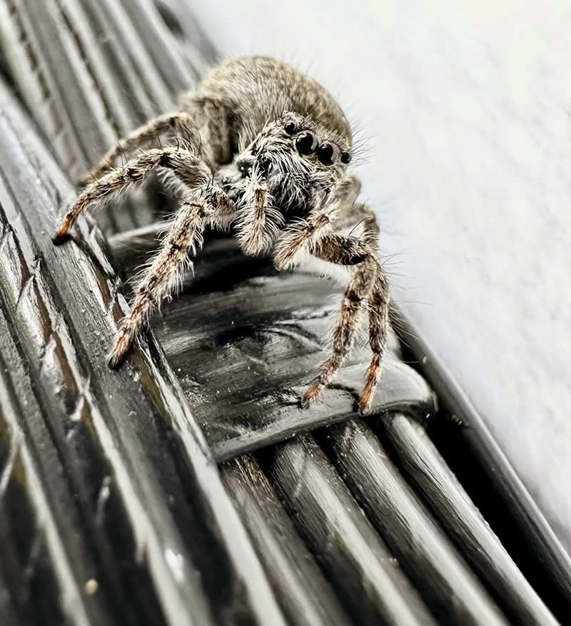 What!! by J.C. de Rijke - Mobile Photography Awards Winners