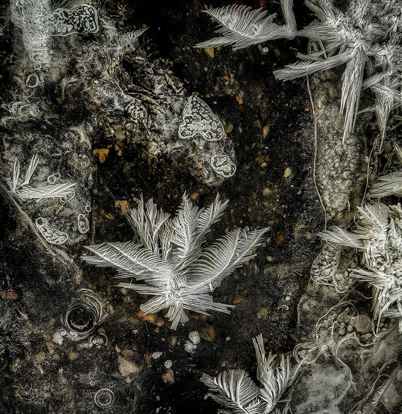 Frost Feathers in Stream by Linda Repasky - Mobile Photography Awards Winners