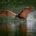 From Birds to Landscapes: Winning Photos From the Nandagang International Photo Competition
