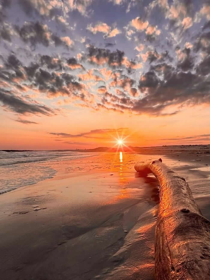 Sunstar sunset over sandy beach with driftwood log leading toward the horizon and golden clouds reflecting on wet sand near ocean waves.