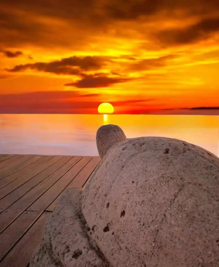 Stone turtle sculpture on wooden deck facing a bright golden sunset over calm sea with glowing orange clouds and horizon reflections.