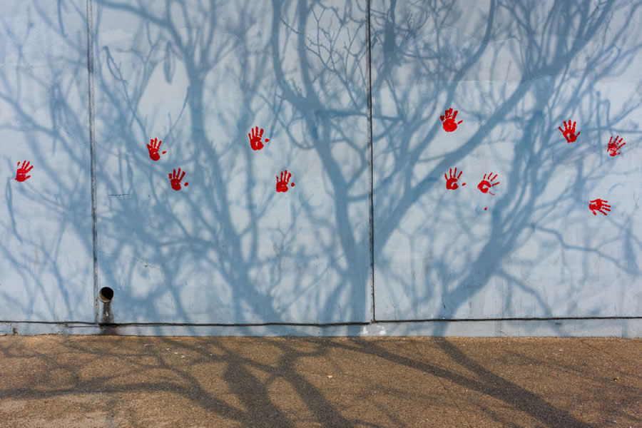 Red handprints on a light-colored wall with shadows of tree branches cast across it, creating a minimalist and symbolic street photography composition with strong contrast and visual storytelling. - Mexico Street Photography by Tavepong Pratoomwong