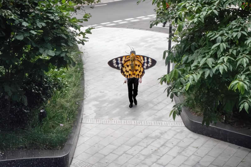 Street photo of a person walking on a curved path, aligned with a butterfly above, creating the illusion that the person has butterfly wings.