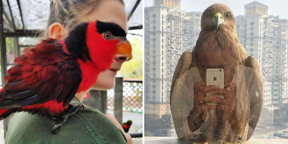 The Decisive Second: 30 Legendary Perfectly Timed Photos