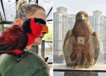 The Decisive Second: 30 Legendary Perfectly Timed Photos