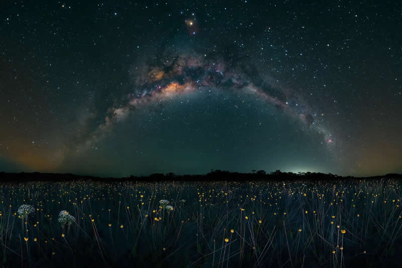 Earth’s Fragile Beauty: 30 Stunning Nature Photography Contest Winners 62 "Golden Drops Beneath the Milky Way" by Marcio Cabral - The Nature Photography Contest Winners