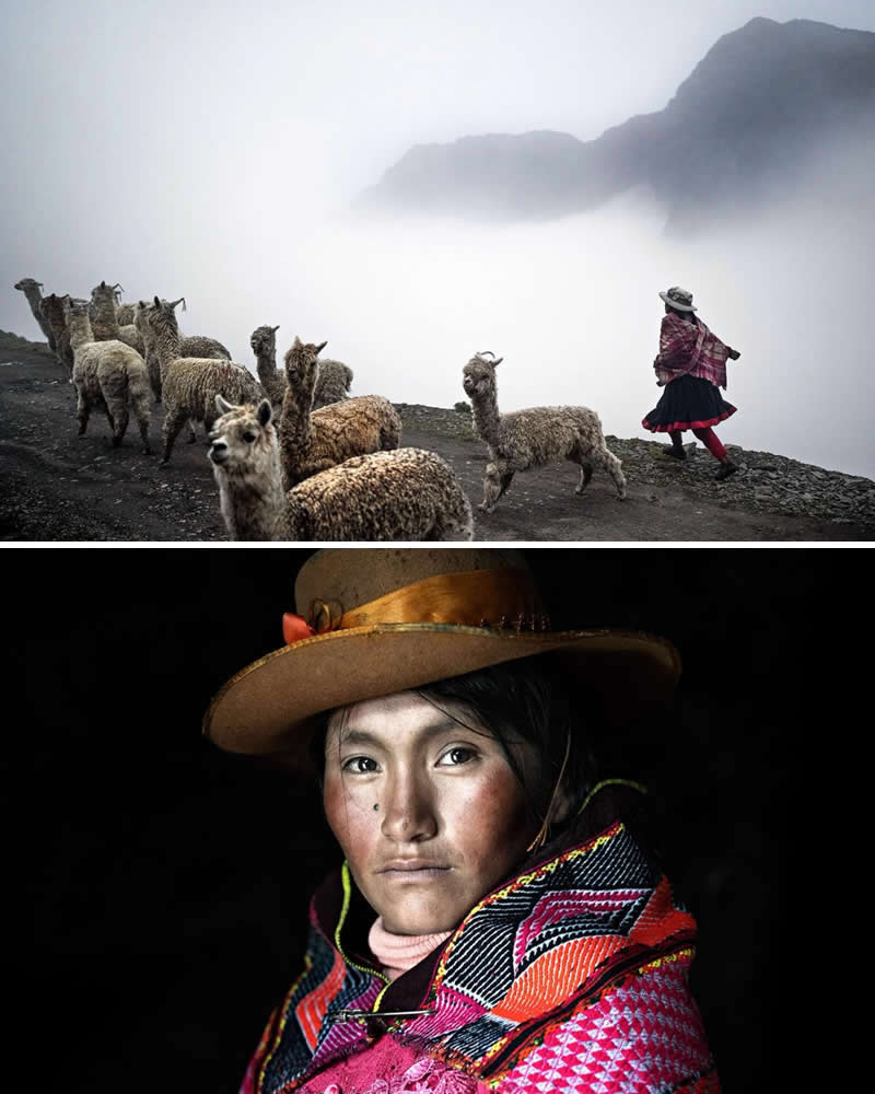 Alessandro Bergamini’s Portraits That Connect People to Their Landscapes 24 Portrait of a Q’ero woman in traditional Andean clothing paired with a mountain landscape where alpacas walk along a misty path in the Andes of Peru, illustrating the deep connection between indigenous people, livestock, and high-altitude territory.