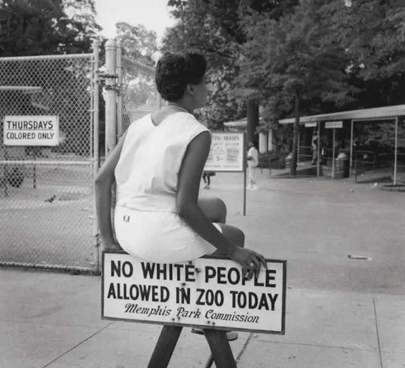 33 Unseen Photographs That Reframe American History 40 In segregated Tennessee of the 1950s, the Memphis Zoo allowed only 'cọlọred peọple' to enter on Thursday of each week.