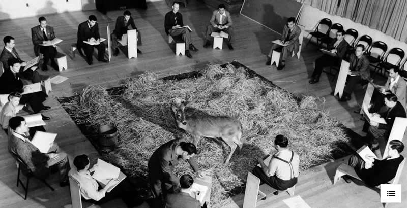 33 Unseen Photographs That Reframe American History 47 A live adult deer serves as an in-studio model for Disney animators during 1941 pre-production for the classic animated film Bambi.