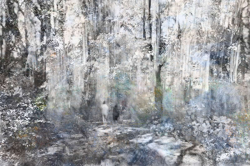 2nd Place: "Wander" by Isobel Chesterman - Garden Photographer of the Year Abstract Views Winners