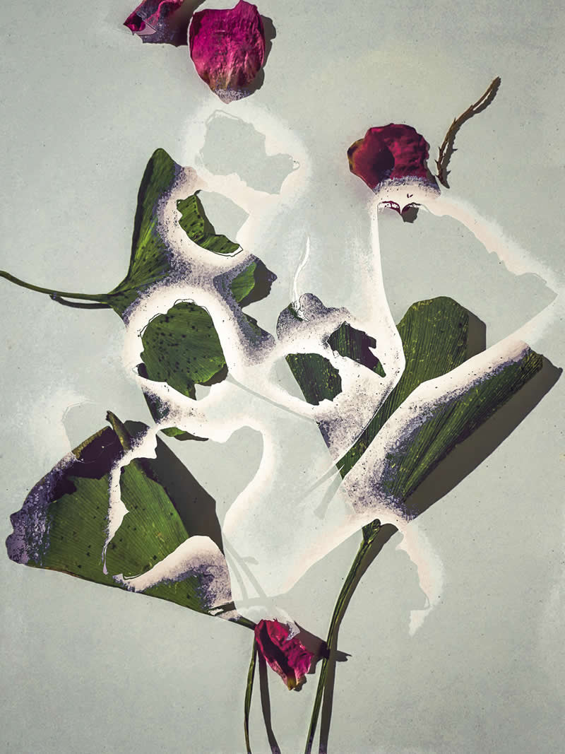 3rd Place: "For Gabriel" by Laurie Peek - Garden Photographer of the Year Abstract Views Winners